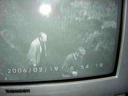 Videodokumentation einer Sachbeschdigung