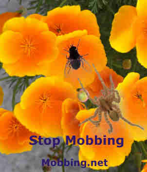 Stopp Mobbing, im Netz der Spinne gefangen,